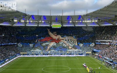 29. Spieltag – Braunschweig (H)